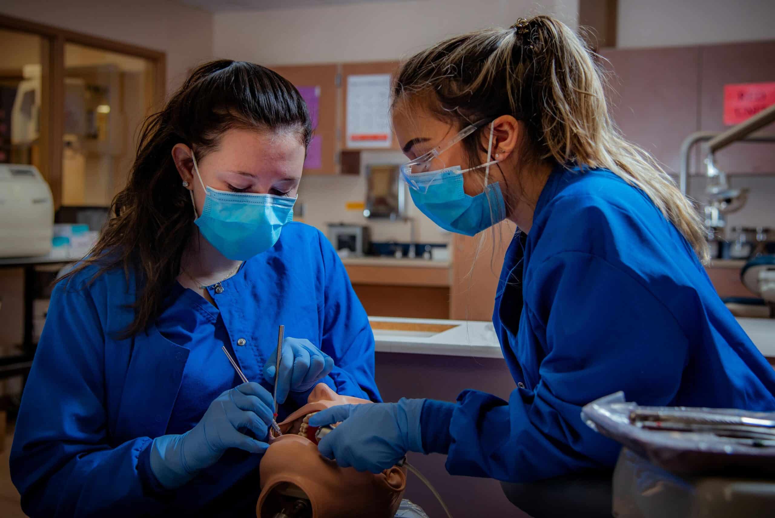 Medical work experience vs medical electives: What’s the difference?