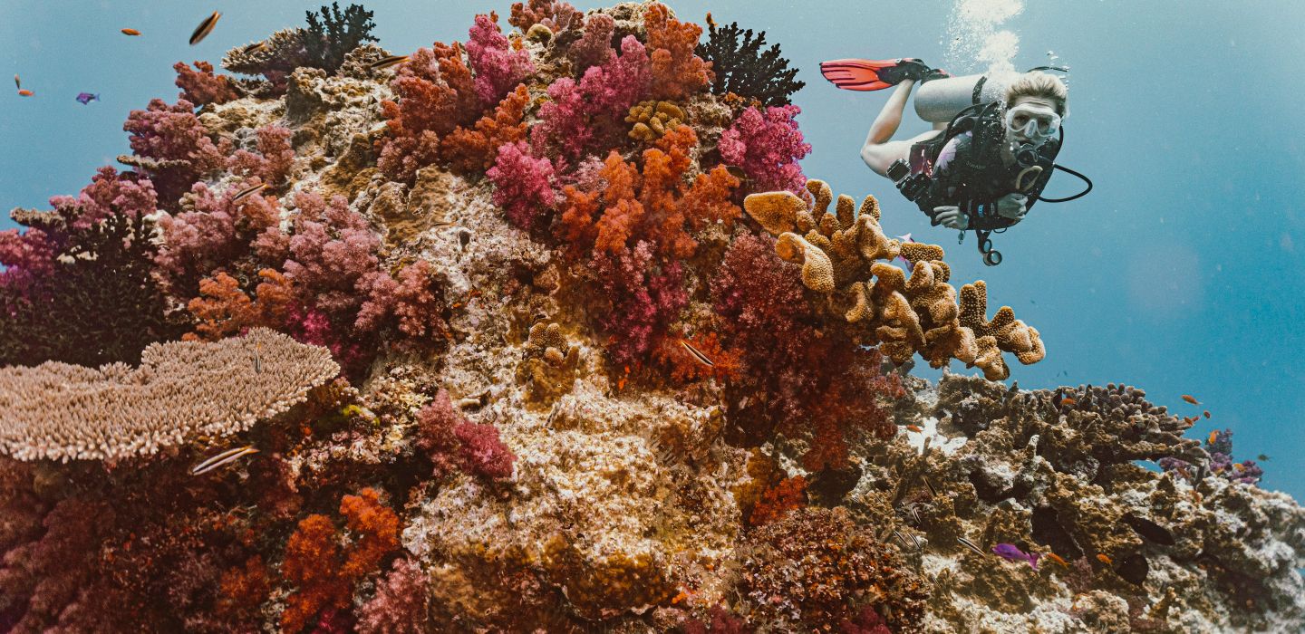 scuba