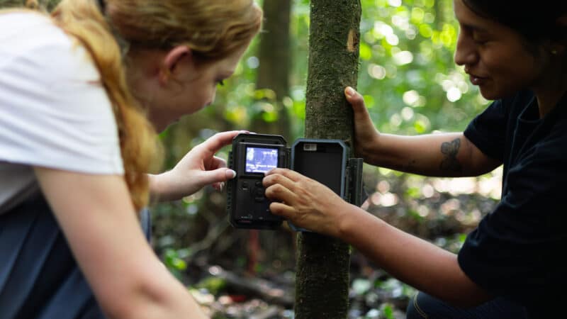 Camera Traps Peru