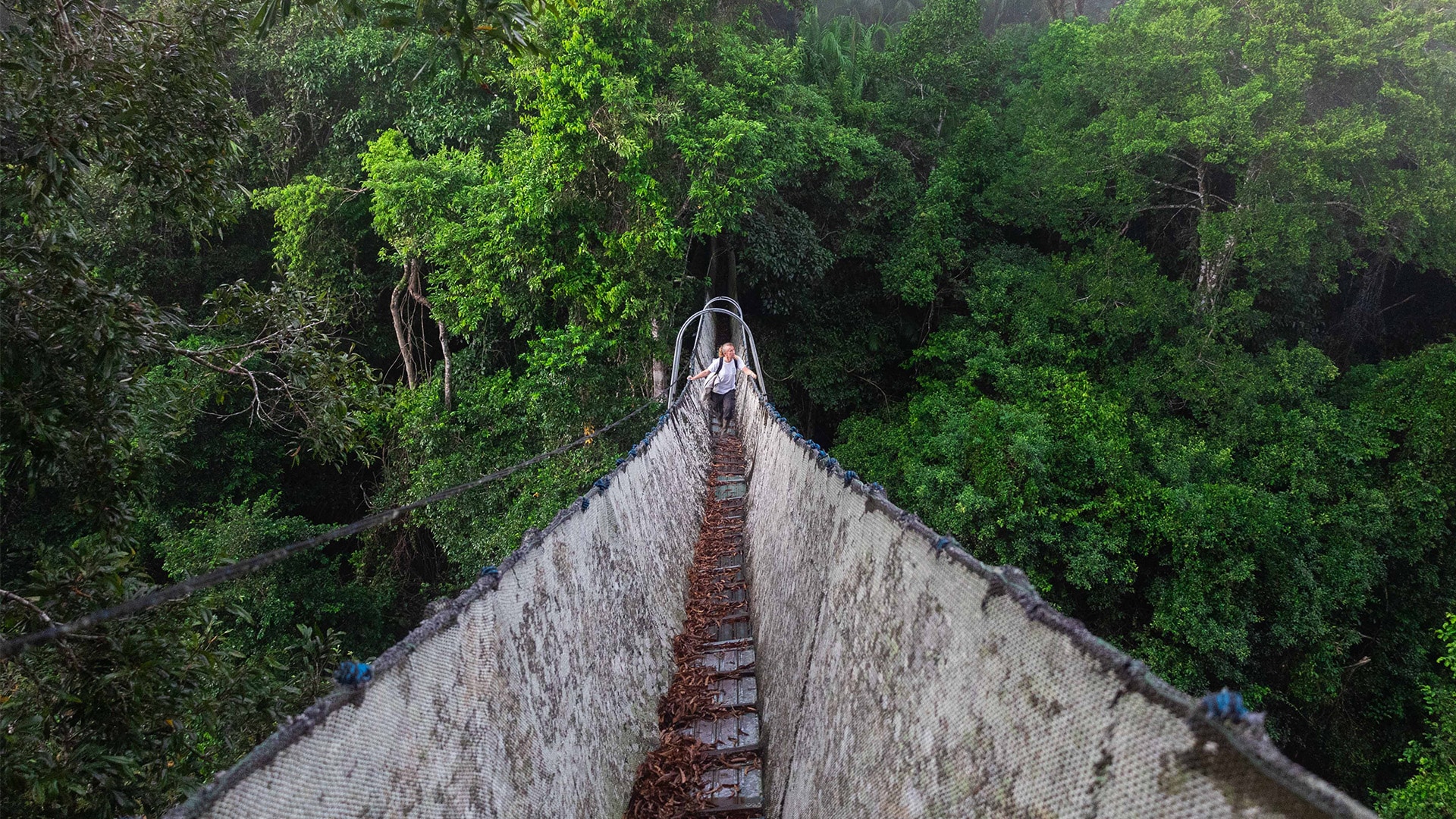 Canopy Walkway in Peru