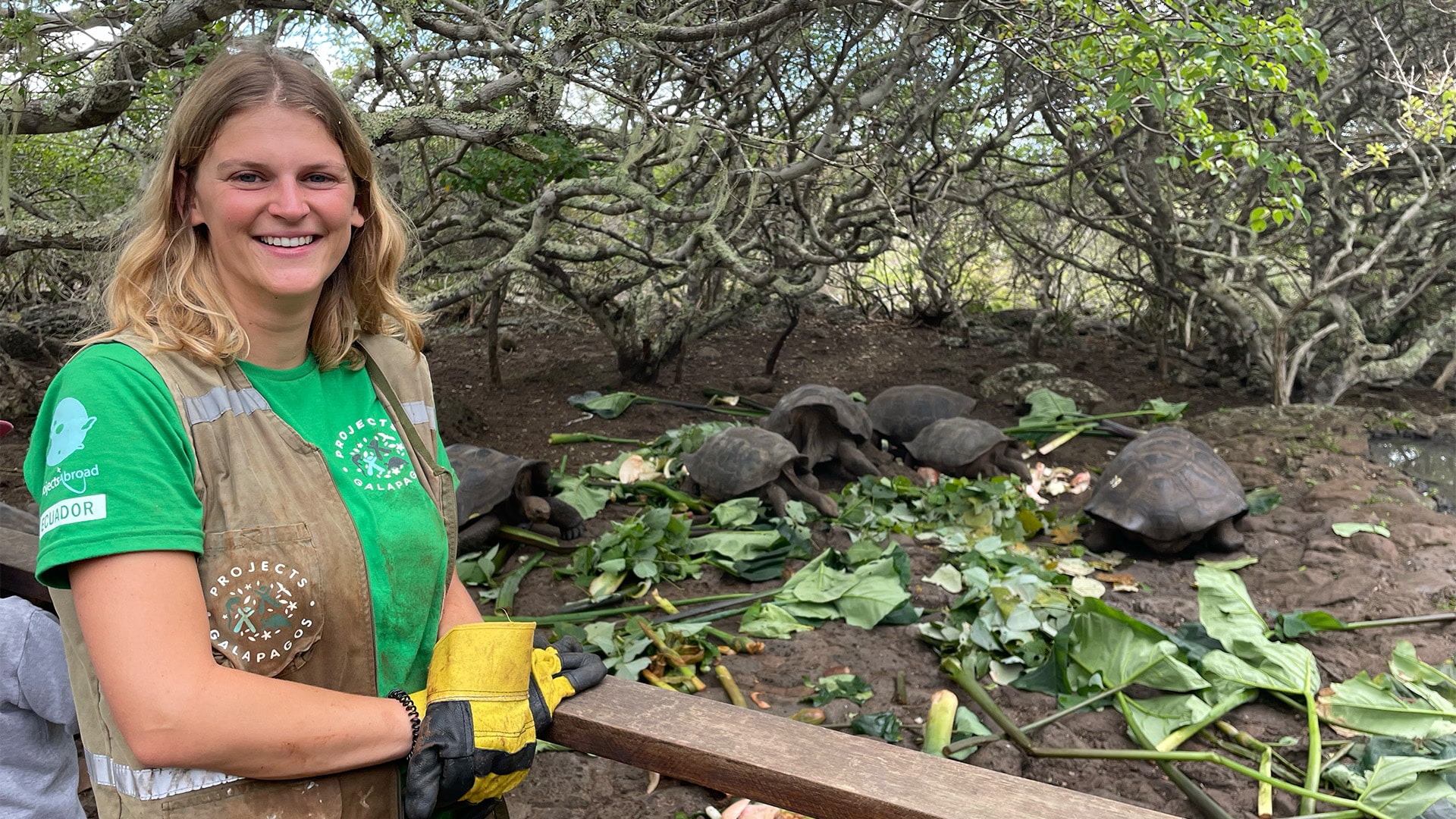 Giant Tortoise & Sea Lion Conservation in the Galapagos Islands - Image 3