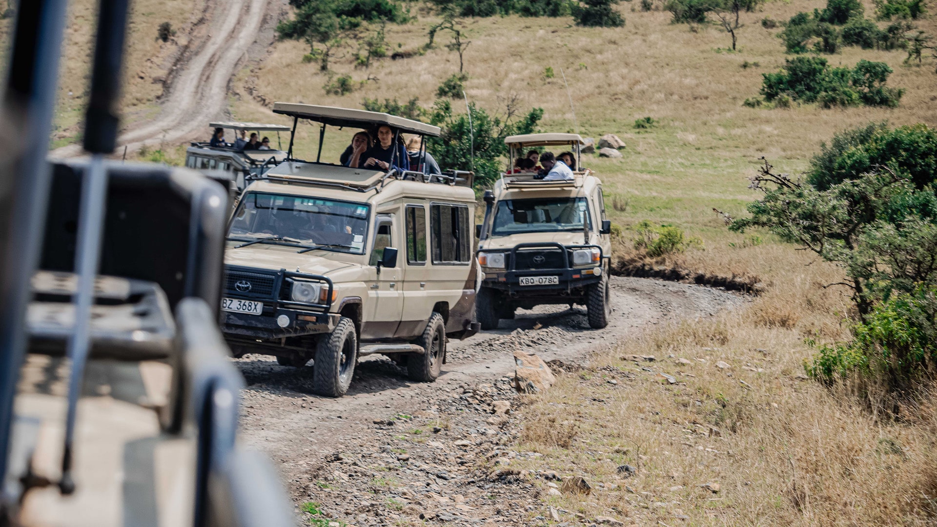 Conservation Volunteer Work in Kenya - Image 3