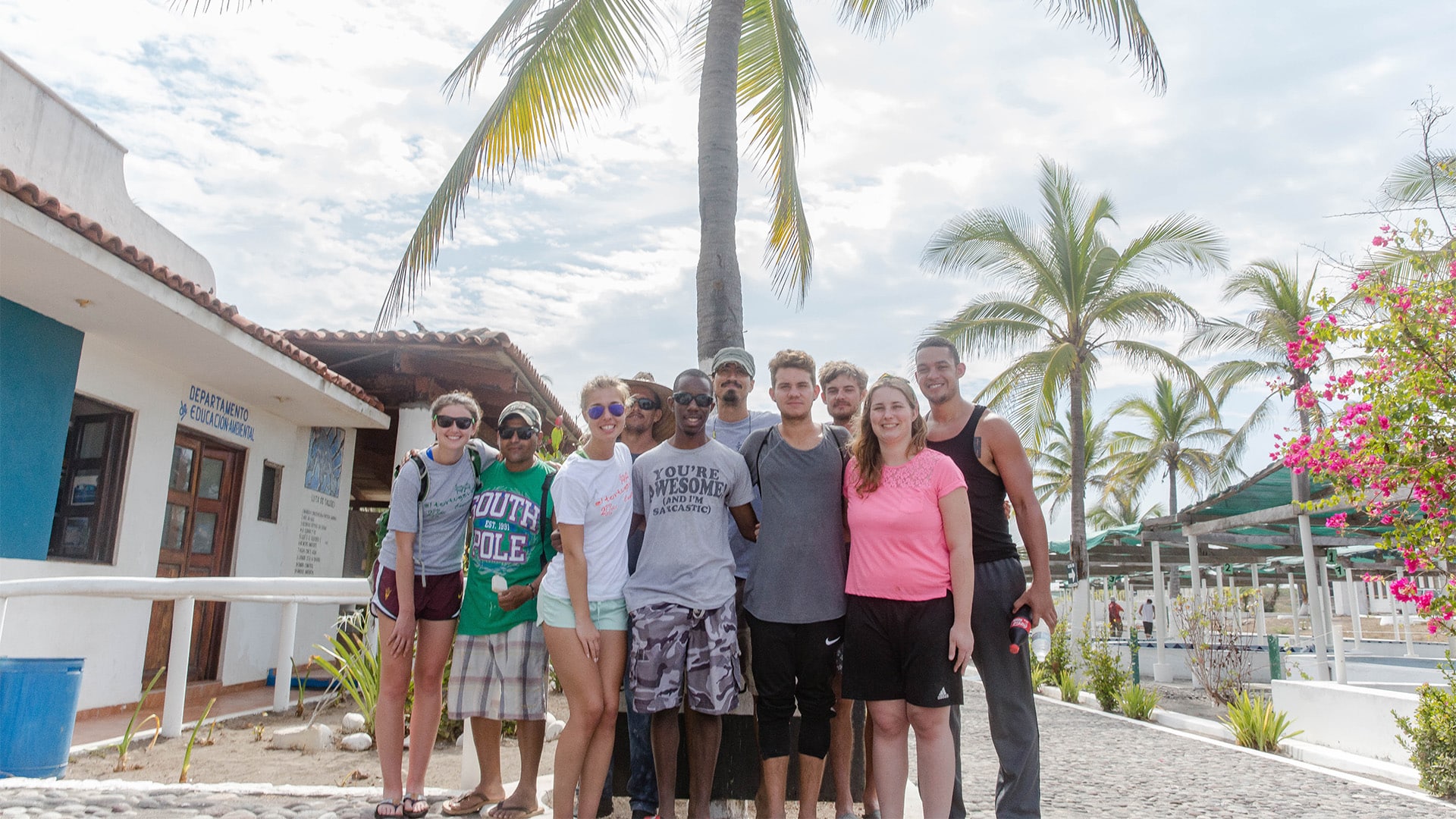 Sea Turtle Conservation in Mexico - Image 3