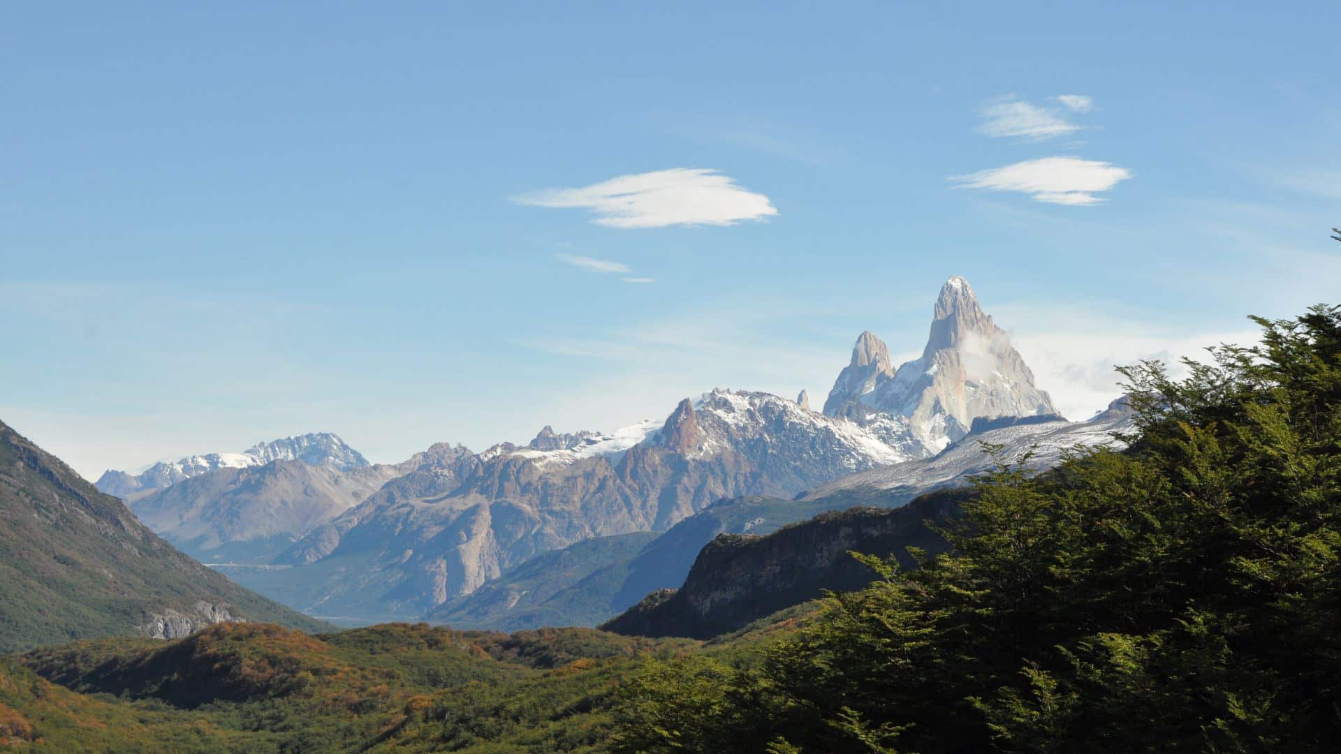 Whale and Puma Conservation in Patagonia, Argentina - Image 6