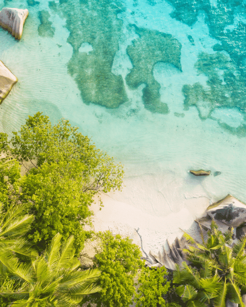 South Pacific