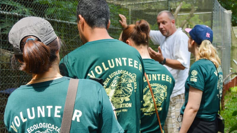 Rainforest Conservation in Peru for Teenagers - Image 9