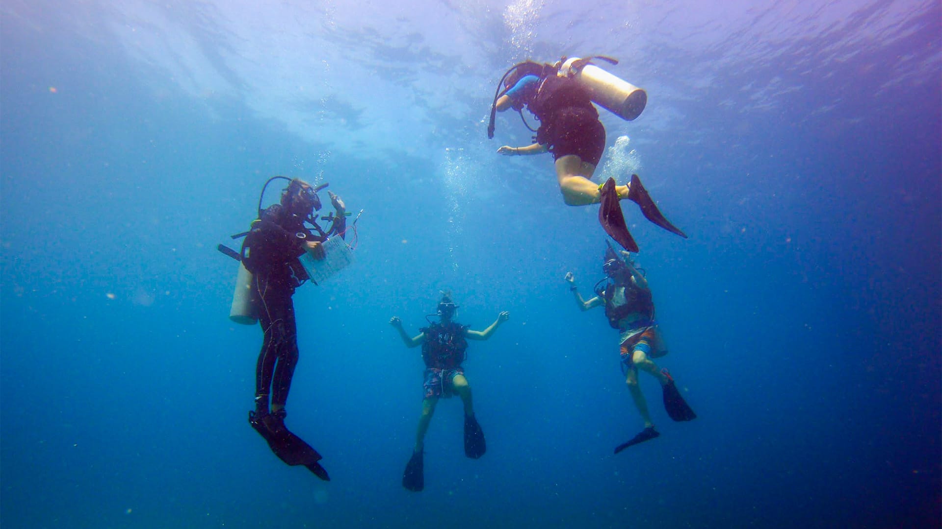 Underwater in Thailand