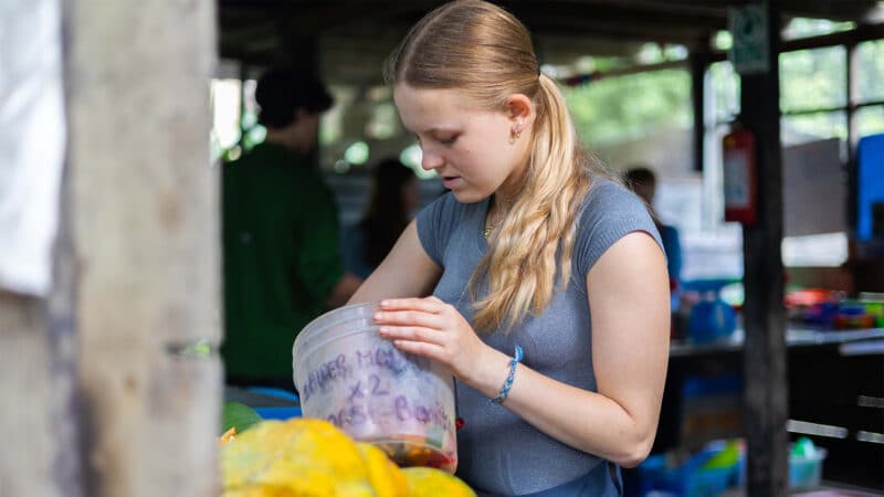 Rainforest Conservation in Peru for Teenagers - Image 7
