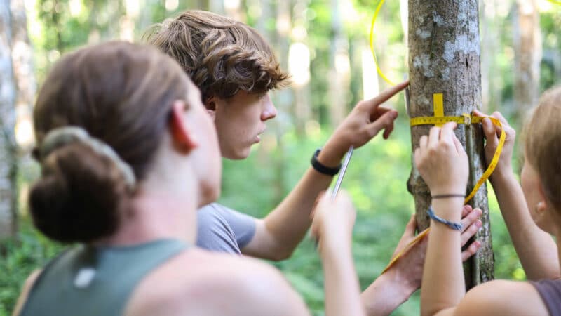 Volunteers measuring trees in Peru