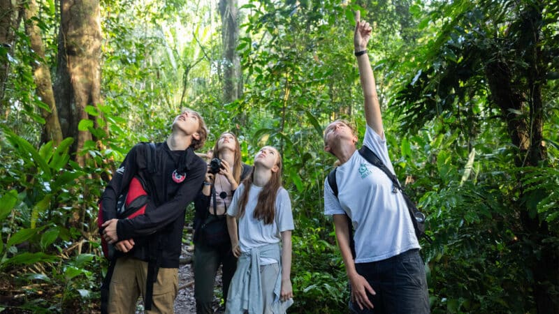 Rainforest Conservation in Peru for Teenagers - Image 2
