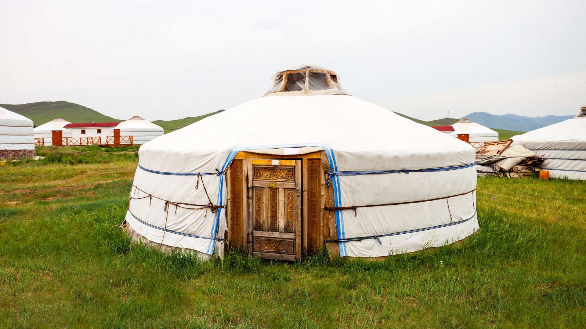 Live and Work with Nomads in Mongolia - Image 2