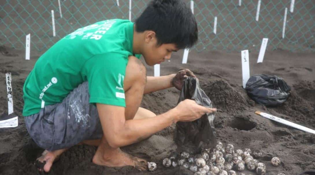 Volunteer protecting turtle eggs in Sri Lanka
