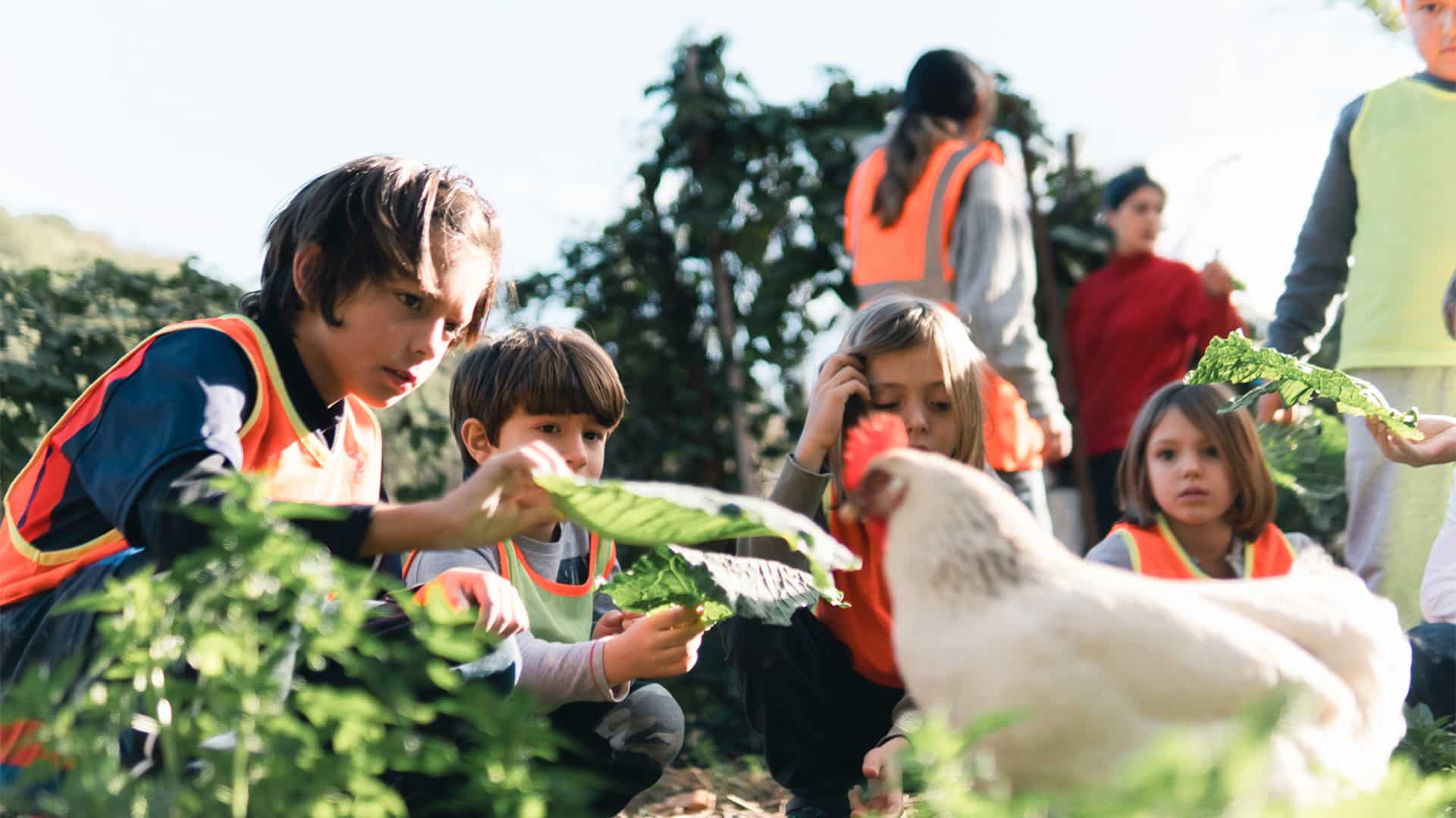 Community Development in Spain