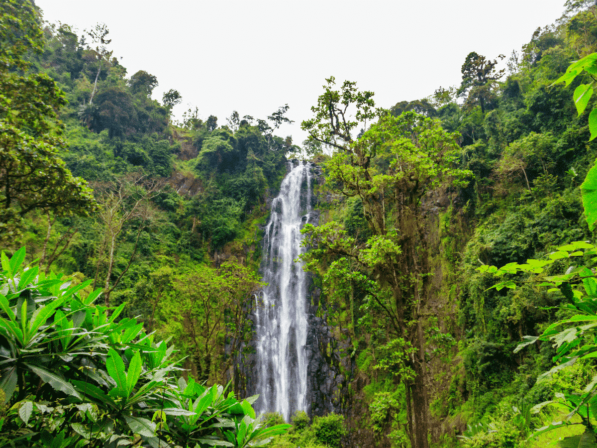 View of Materuni waterfall on the foot of the Kilimanjaro mountain in Tanzania
