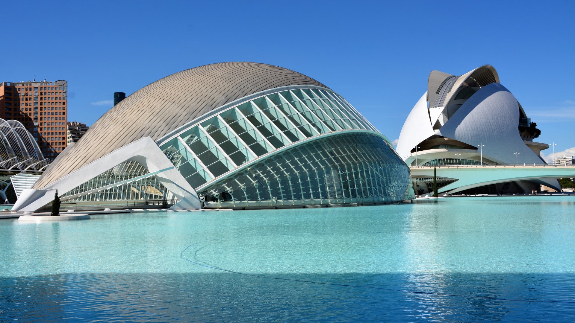 Medical Internship for Undergraduate Students in Spain - Image 2