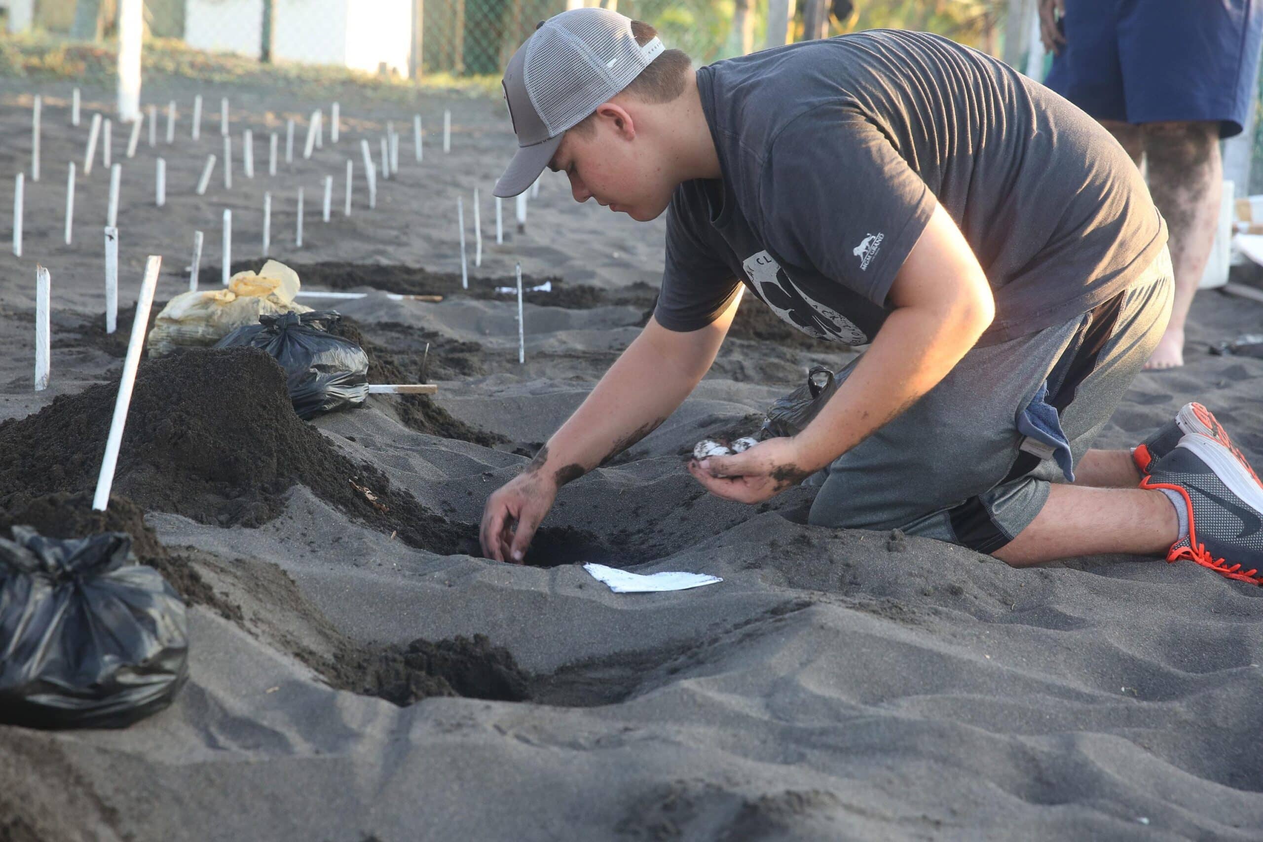 A Projects Abroad Conservation volunteer in Mexico cleans the remains of a recently hatched sea turtle nest.