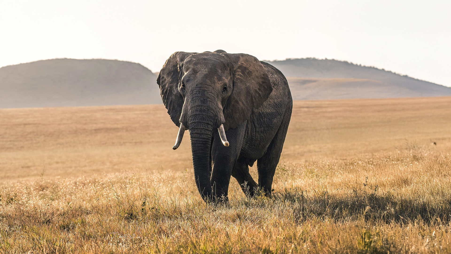 Botswana