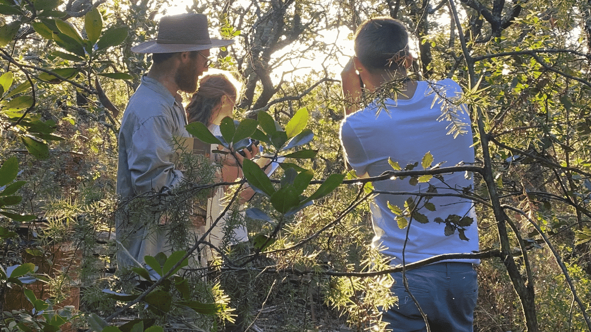 Set camera traps and conduct surveys to monitor the local wildlife