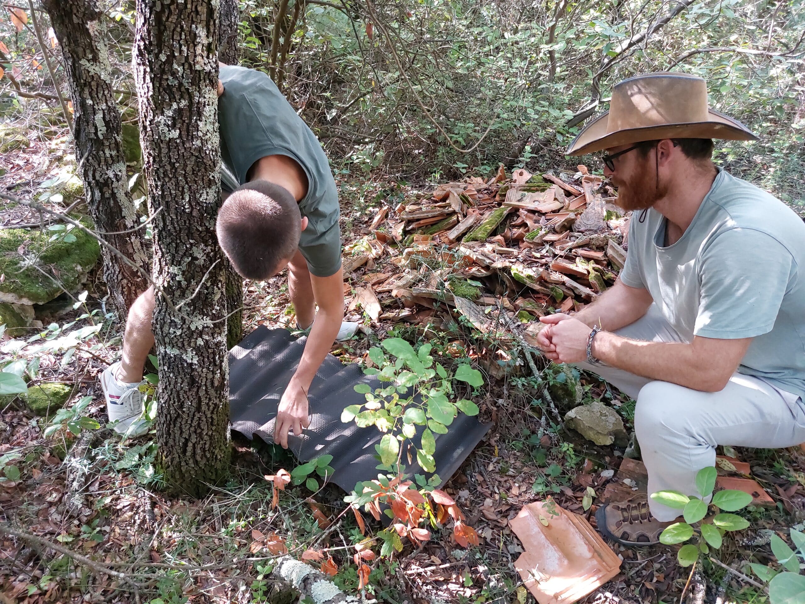 Place reptile refugia and discover new species