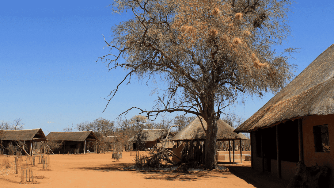 The grounds of your private accommodation in Botswana