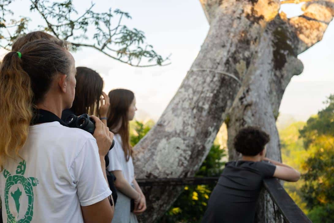 Family volunteers watching birds over the canopy in Peru